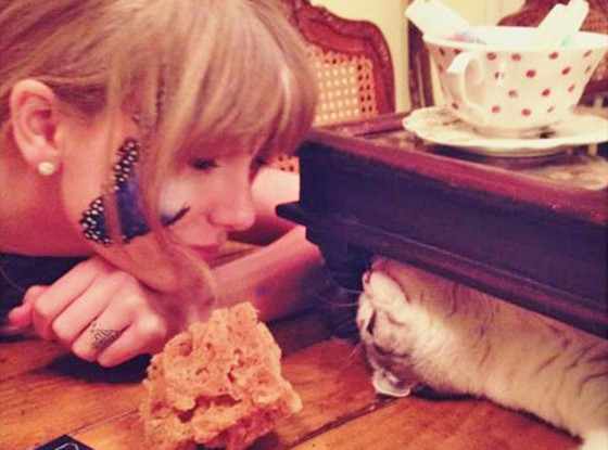 Taylor Swift Taylor Swift